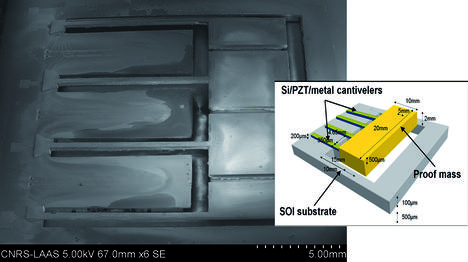 page13-microscope